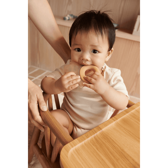 LIEWOOD Rita Elephant Cooling Teether 2pk - Pale Tuscany | Torgunns Barneklær AS