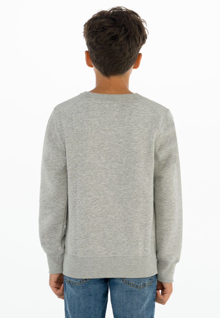 Levis Batwing Crewneck Sweatshirt – Grey Heather