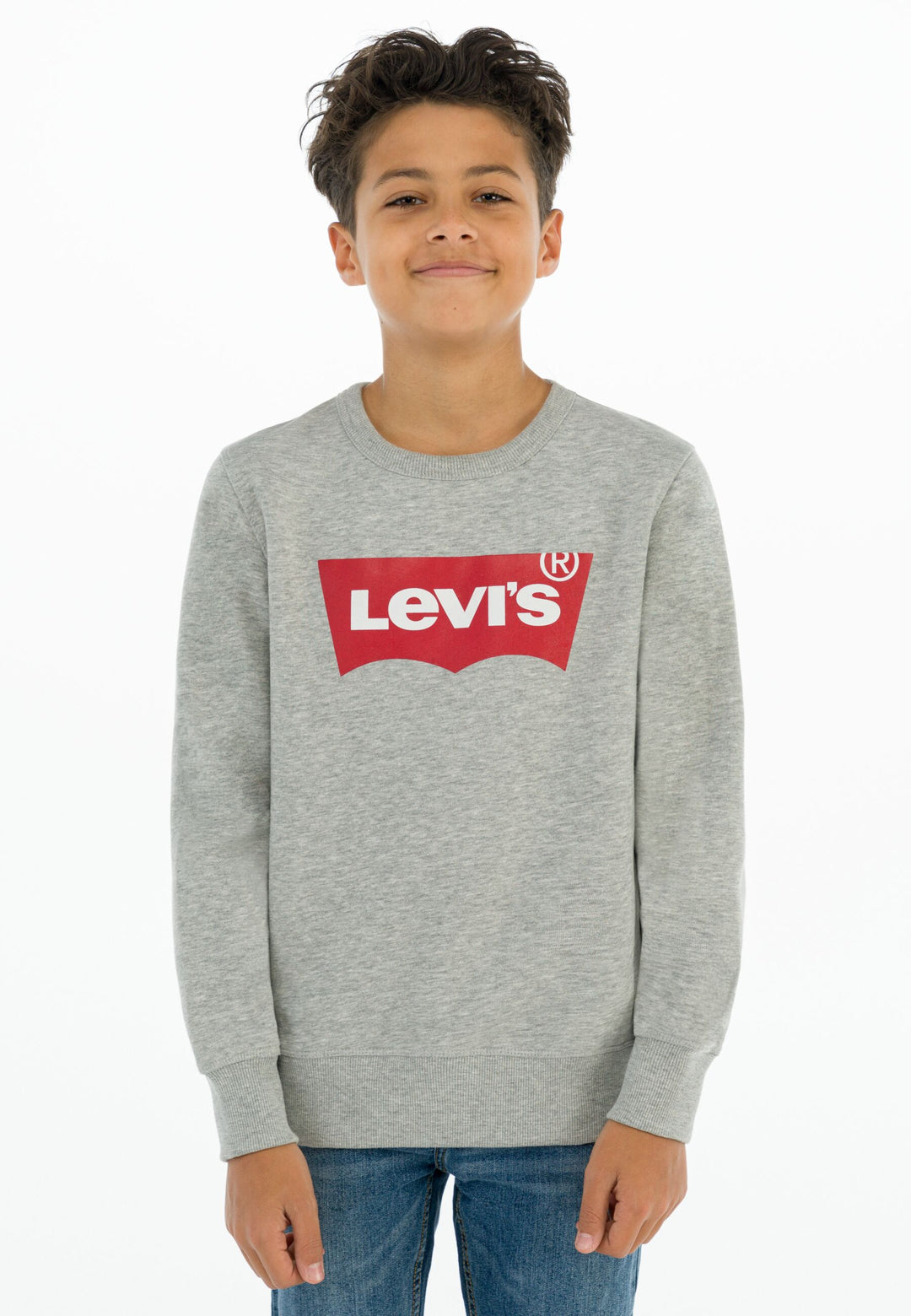 Levis Batwing Crewneck Sweatshirt – Grey Heather