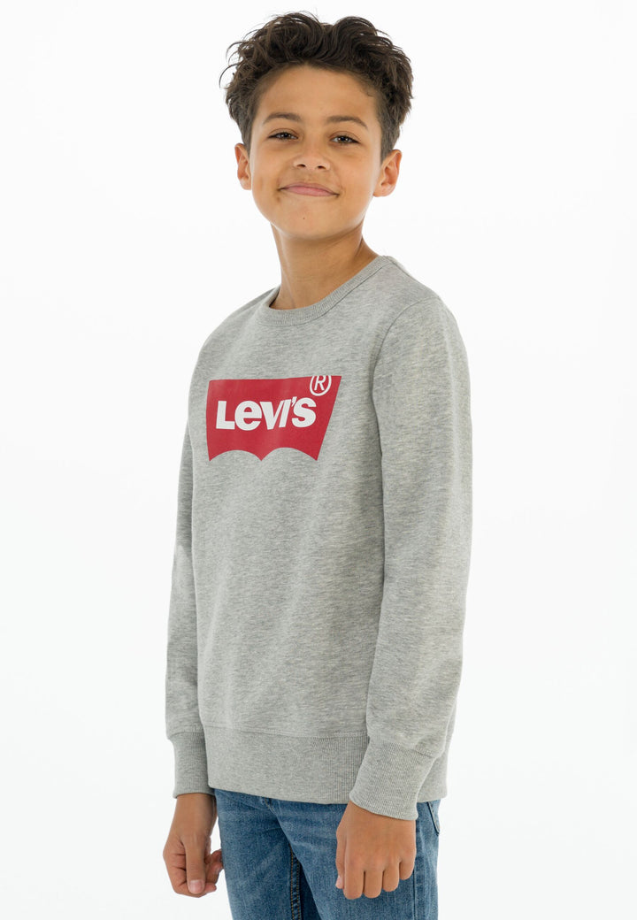 Levis Batwing Crewneck Sweatshirt – Grey Heather