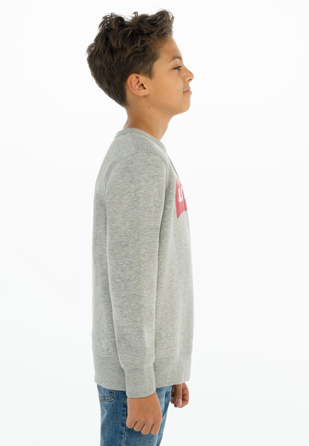 Levis Batwing Crewneck Sweatshirt – Grey Heather