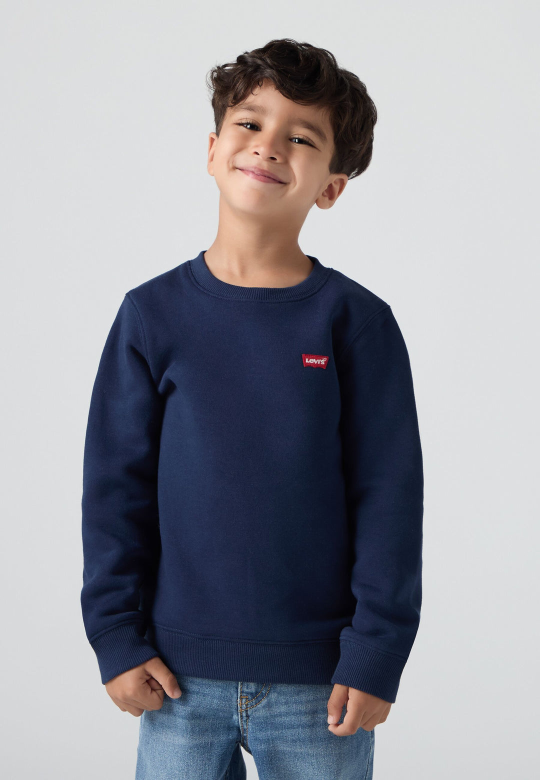 Levis Mini Logo Crewneck Sweatshirt – Dress Blues
