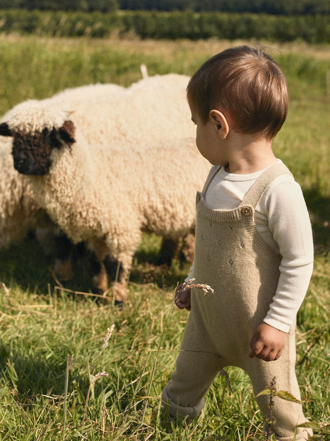 Lil' Atelier Baby WOOL NALU RIB LS SLIM BODY - Turtledove Melange - Torgunns Barneklær AS