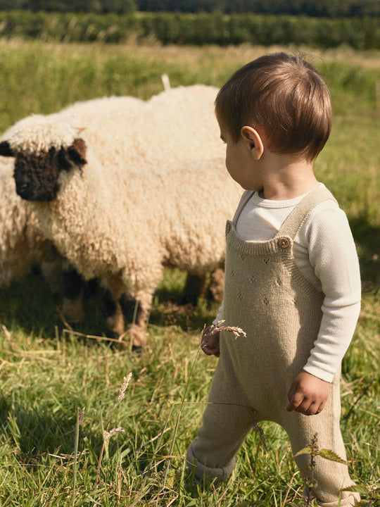 Lil' Atelier Baby WOOL NALU RIB LS SLIM BODY - Turtledove Melange - Torgunns Barneklær AS