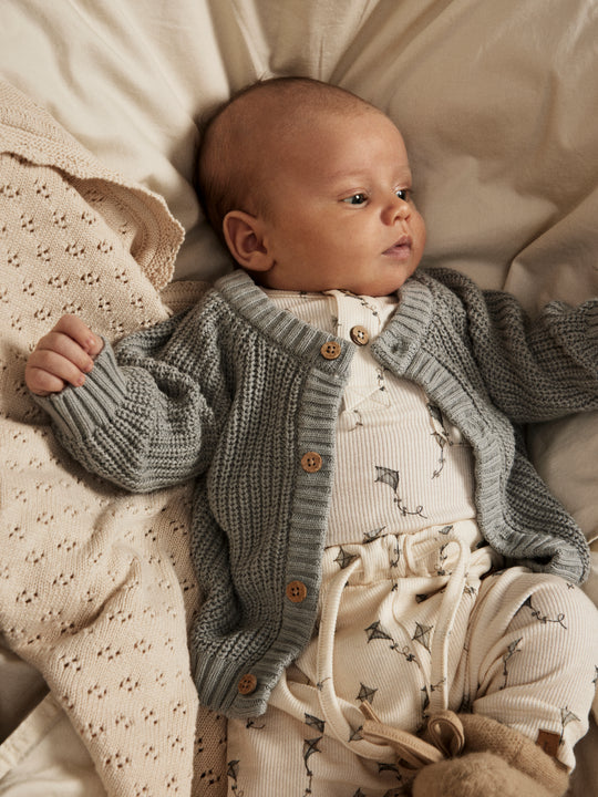 Lil' Atelier BABY GAVO ELO LOOSE PANT NOOS - Turtledove Kites