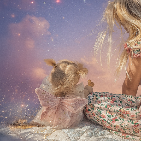 Olli Ella | Dream Dinkum Dolls | Fairy Willow