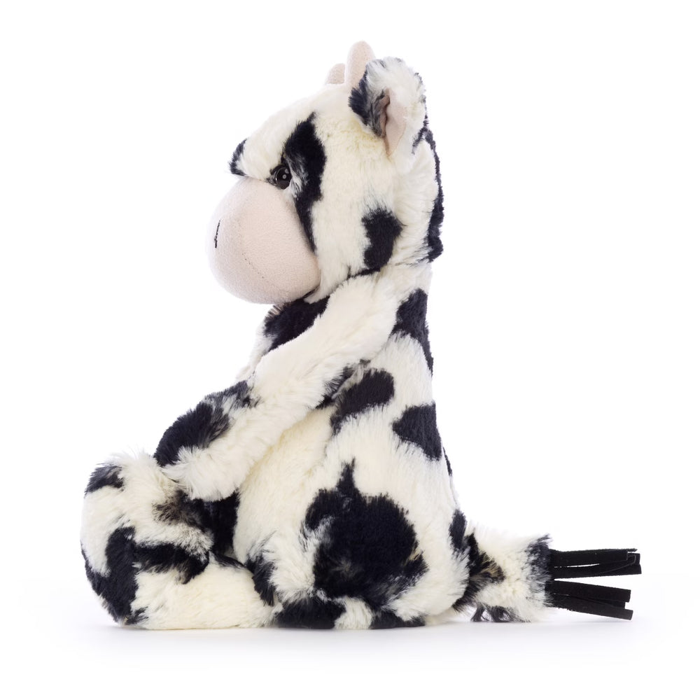 Jallycat | Bashuful Calf