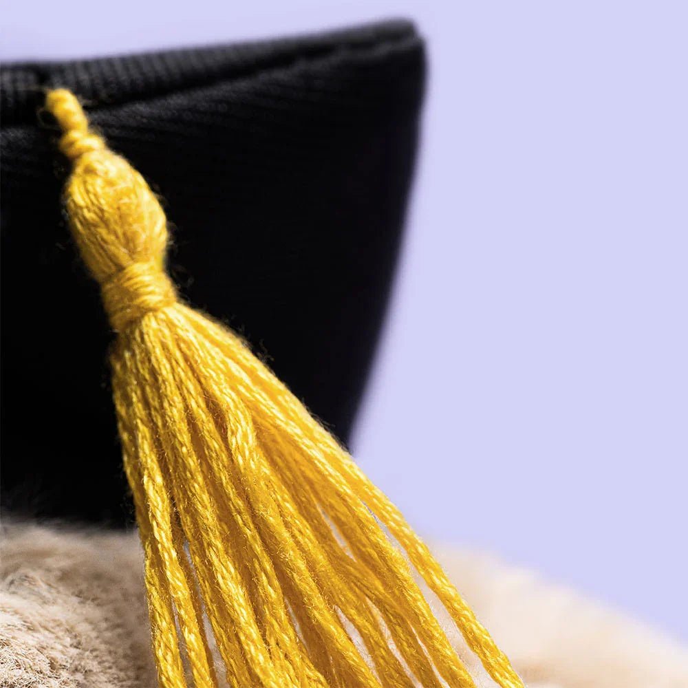 Jellycat | Bashful Bunny Graduation Outfit | Torgunns Barneklær AS