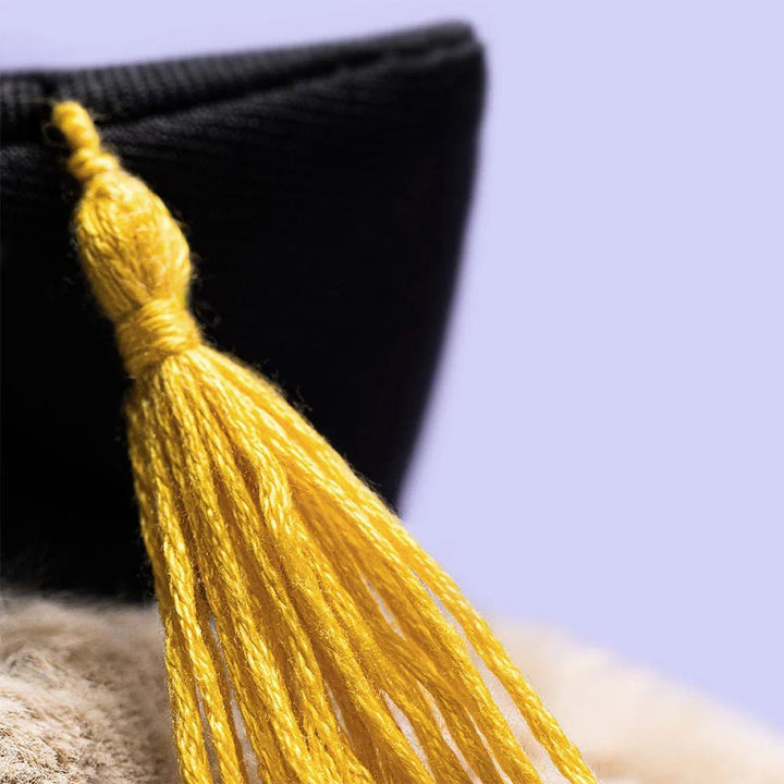 Jellycat | Bashful Bunny Graduation Outfit | Torgunns Barneklær AS