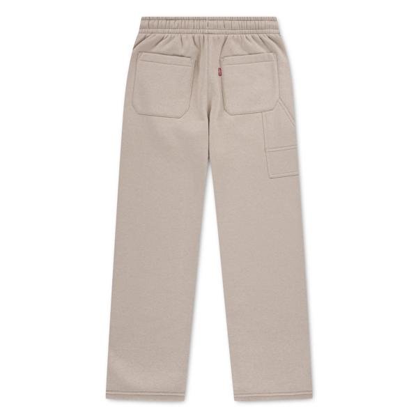 Levis Baggy Carpenter Sweatpants – Fields Of Rye | Torgunns Barneklær AS