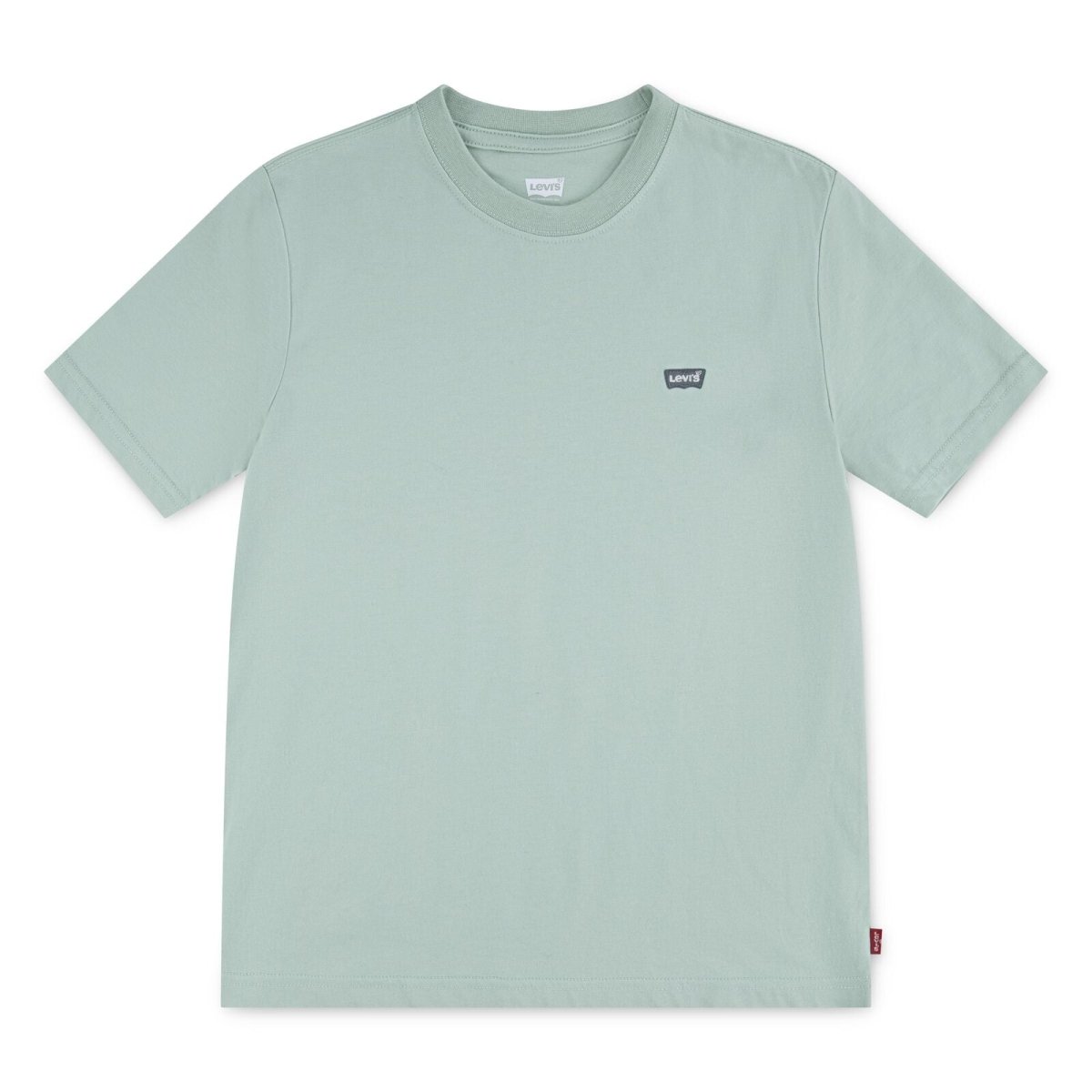 Levis Batwing Chest Hit T-skjorte – Cameo Green | Torgunns Barneklær AS