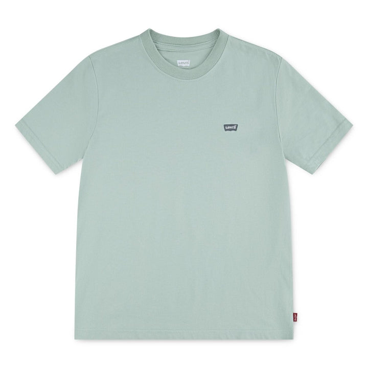 Levis Batwing Chest Hit T-skjorte – Cameo Green | Torgunns Barneklær AS