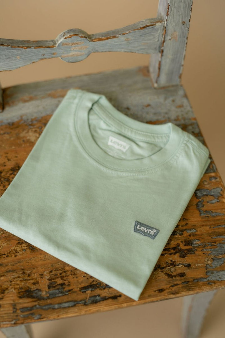 Levis Batwing Chest Hit T-skjorte – Cameo Green | Torgunns Barneklær AS