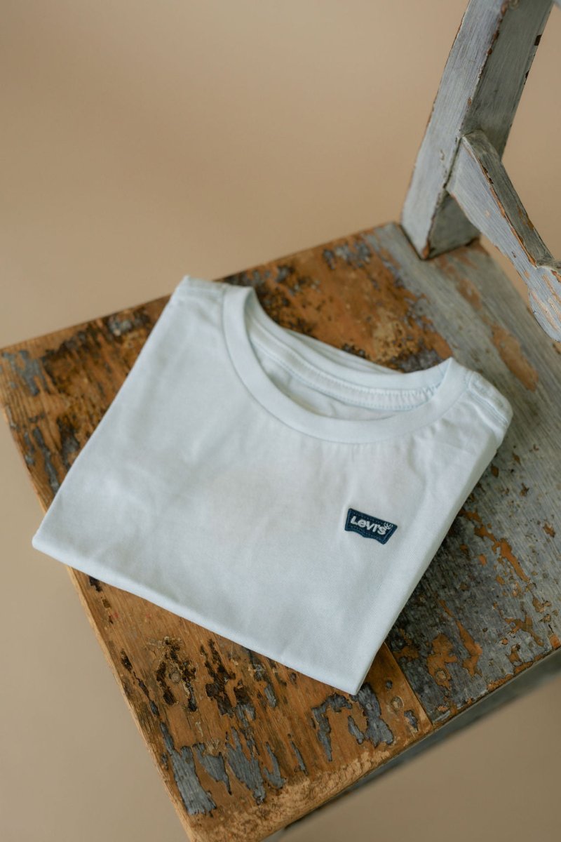 Levis Batwing Chest Hit Tee - Country Air | Torgunns Barneklær AS