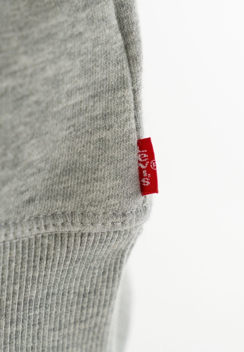 Levis Batwing Crewneck Sweatshirt – Grey Heather | Torgunns Barneklær AS