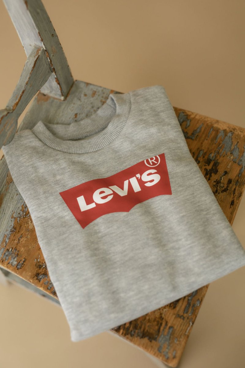 Levis Batwing Crewneck Sweatshirt – Grey Heather | Torgunns Barneklær AS