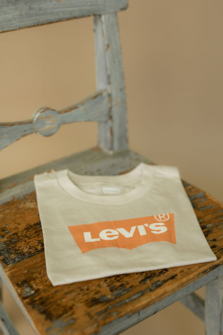 Levis Batwing Tee – Pumice Stone | Torgunns Barneklær AS