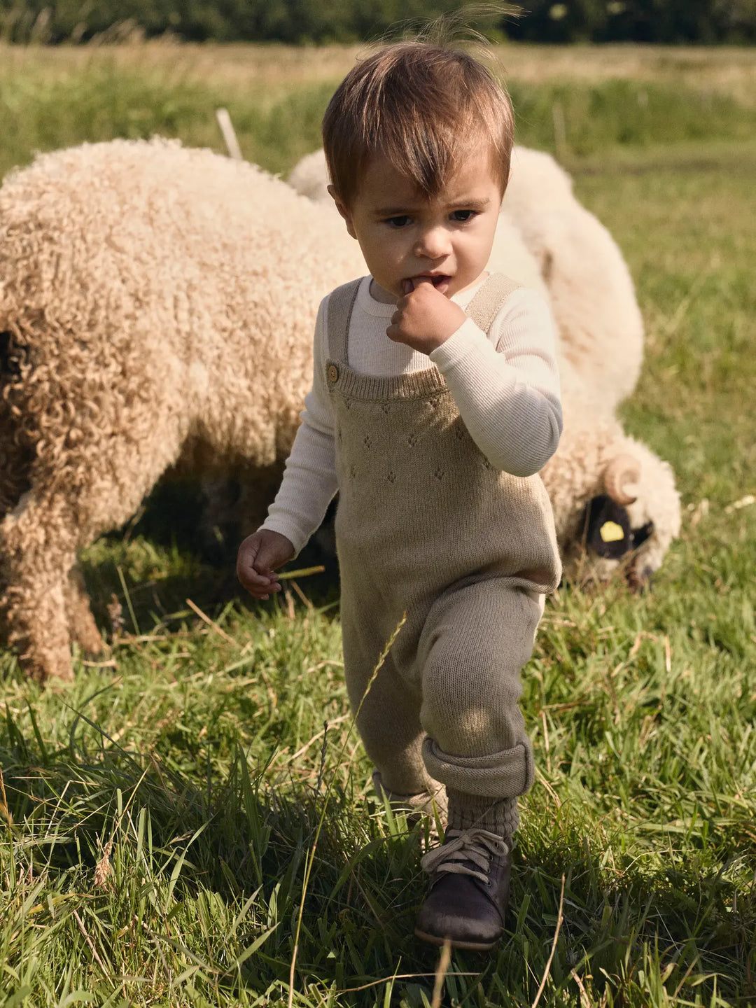 Lil' Atelier Baby WOOL NALIO KNIT OVERALL - Safari Melange - Torgunns Barneklær AS