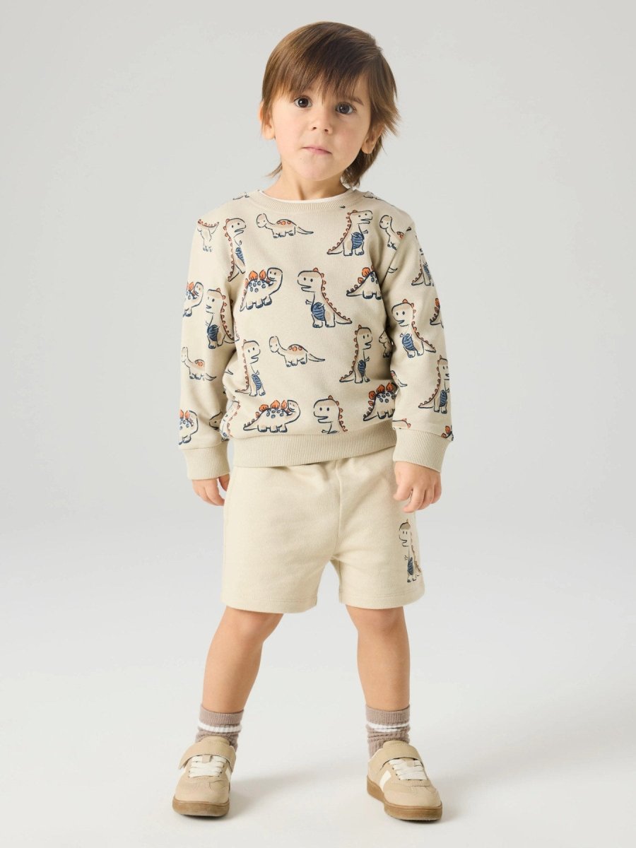 name it mini FIDINO LS SWEAT - Peyote | Torgunns Barneklær AS