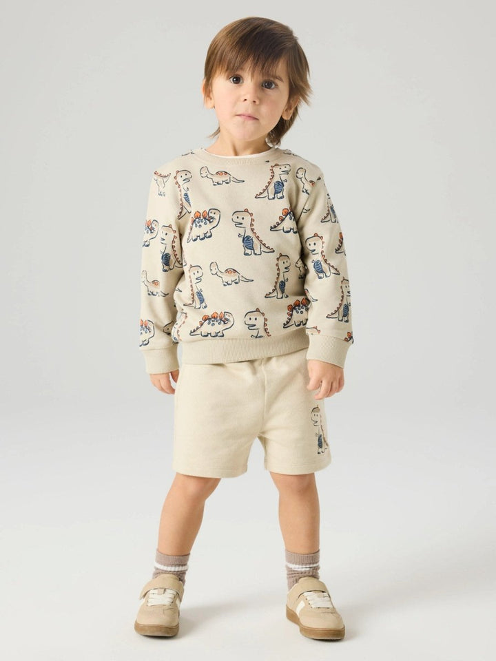 name it mini FIDINO LS SWEAT - Peyote | Torgunns Barneklær AS