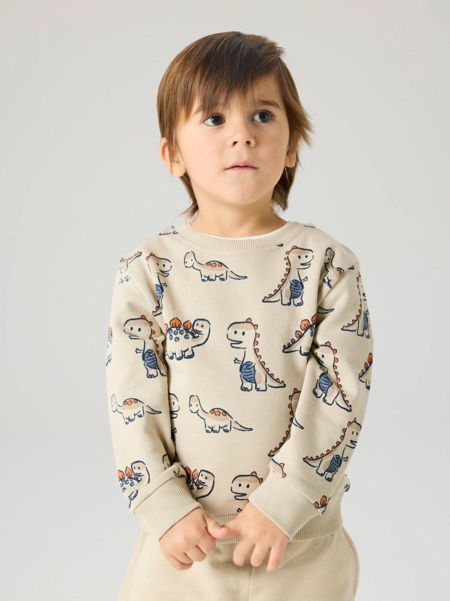name it mini FIDINO LS SWEAT - Peyote | Torgunns Barneklær AS