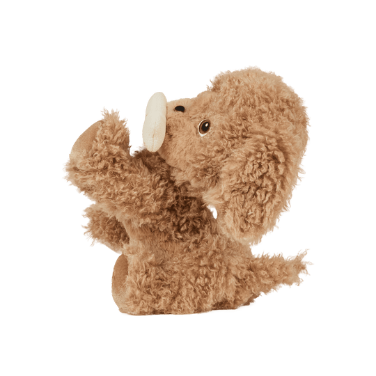 Olli Ella | Dinkum Dogs - Goldie / Gold | Torgunns Barneklær AS