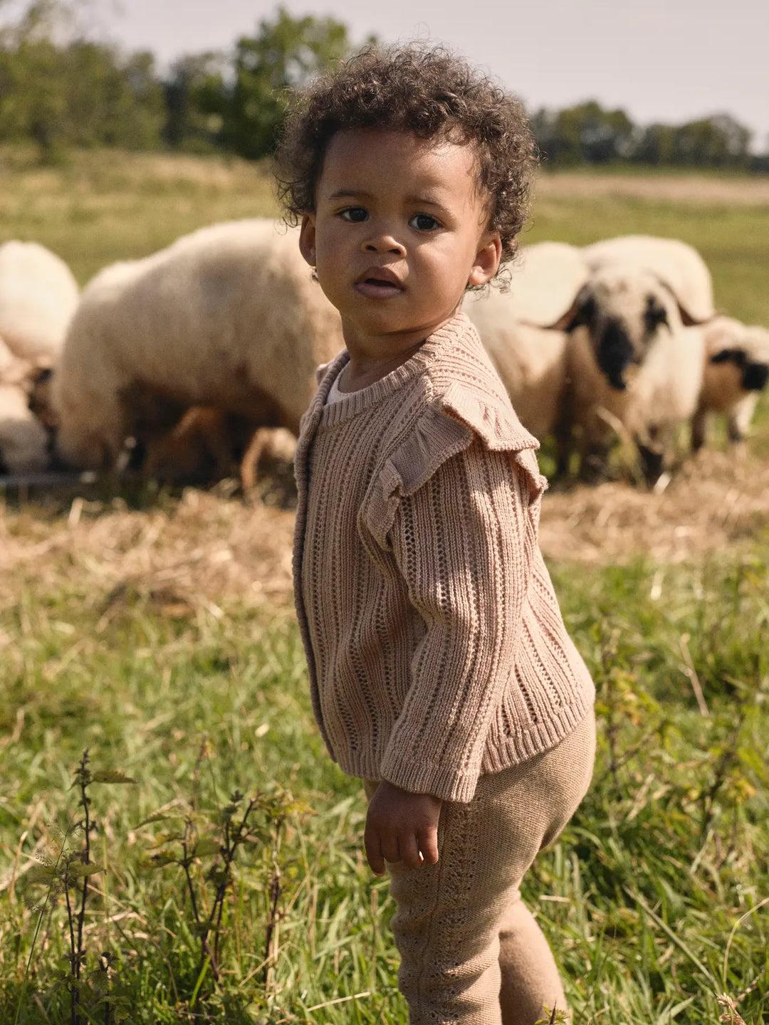Lil' Atelier Baby WOOL NOMO LS KNIT CARDIGAN - Roebuck - Torgunns Barneklær AS