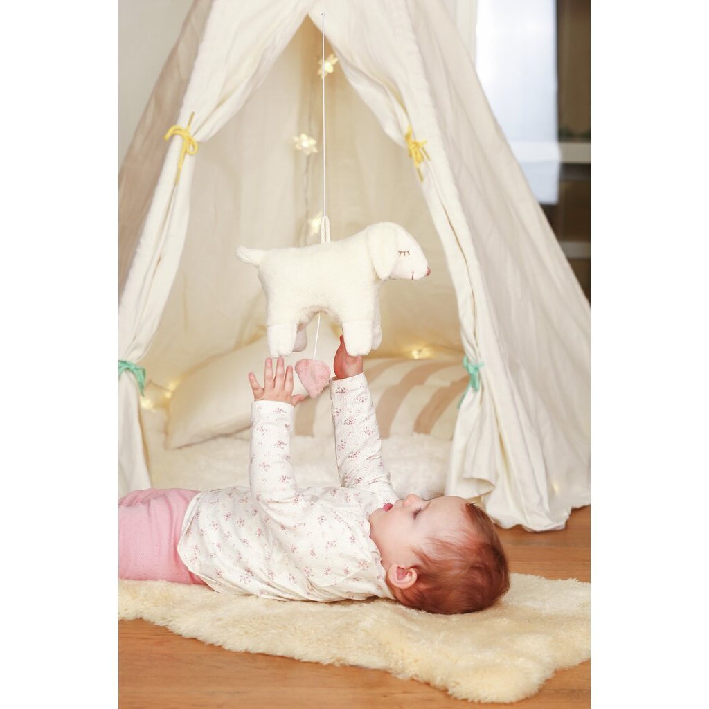 Senger Naturwelt | Spilledåse Sau | Torgunns Barneklær AS