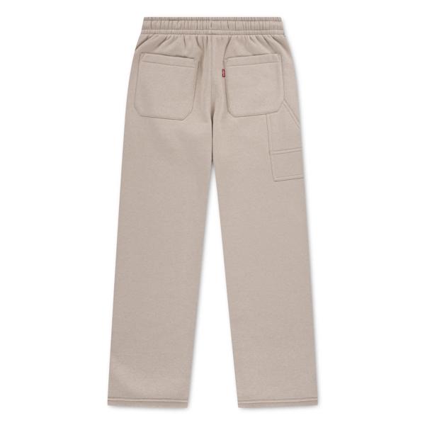 Levis Baggy Carpenter Sweatpants – Fields Of Rye